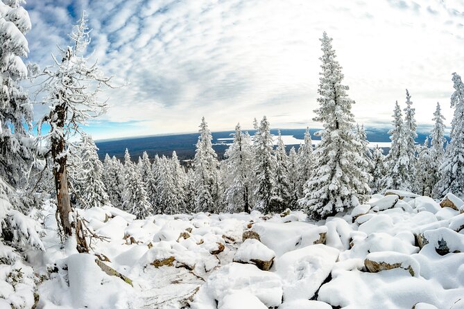 Hike to Frozen Waterfalls of Korouoma Including BBQ Lunch from Rovaniemi - What the guide adds to the walk