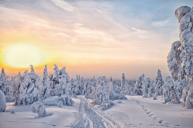 Hike to Frozen Waterfalls of Korouoma Including BBQ Lunch from Rovaniemi - The campfire barbecue and blueberry tea