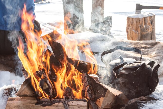 Hike to Frozen Waterfalls of Korouoma Including BBQ Lunch from Rovaniemi - Who should book this hike