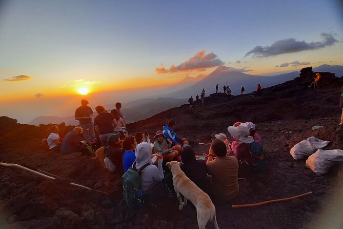 Hike to Pacaya Volcano from Antigua - Horses can save the day, but ask the price first