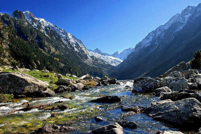 Hike to Secret Waterfalls of the Pyrenees Mountains, From Barcelona & Girona - Alta Garrotxa gives this hike its character