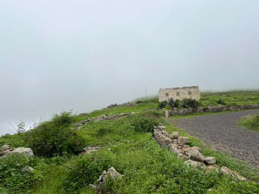 Hike to the highest point of Monte verde - Cape Verdean flavors at the top