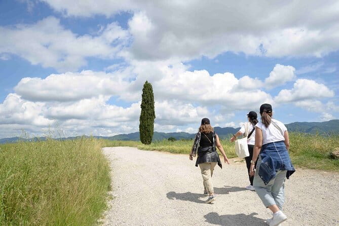 Hike & Wine Tour - Key points to know before booking