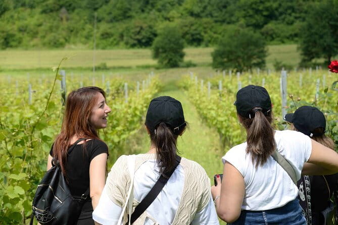 Hike & Wine Tour - A Tuscan lunch built around simple ingredients