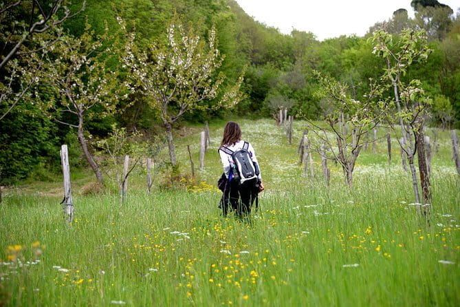 Hike & Wine Tour - Who will enjoy this three-hour outing