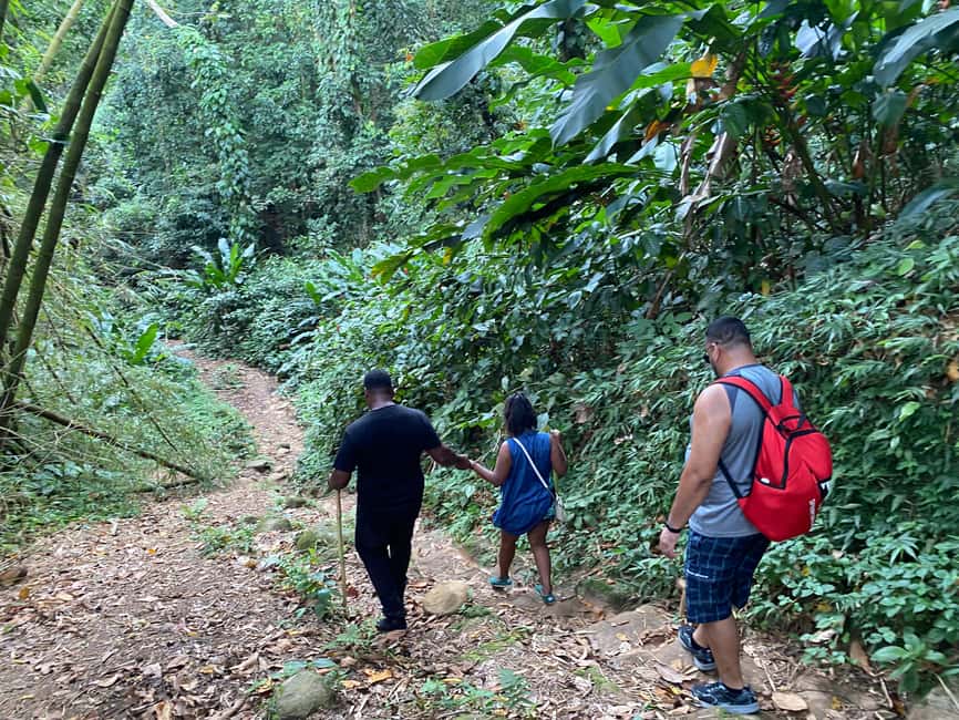 Hiking Adventure - From your pickup to the rainforest