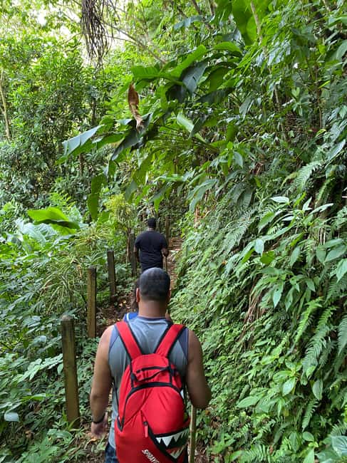 Hiking Adventure - Final decision: should you book it?