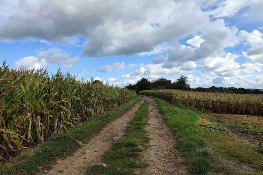 Hiking Adventure in Van Gogh's footsteps (6 miles walk) - Walking beside the Oise River