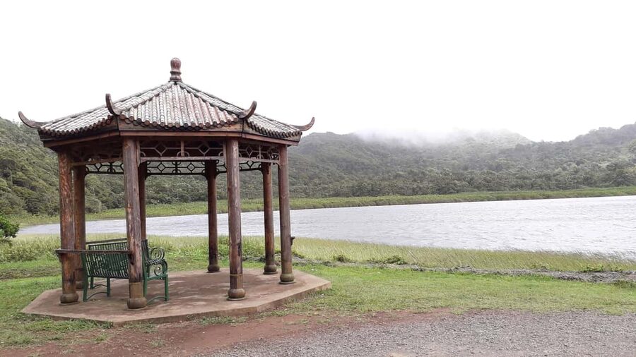 Hiking Adventure Through Grand E'tang RainForest - Is $125 a Fair Price?