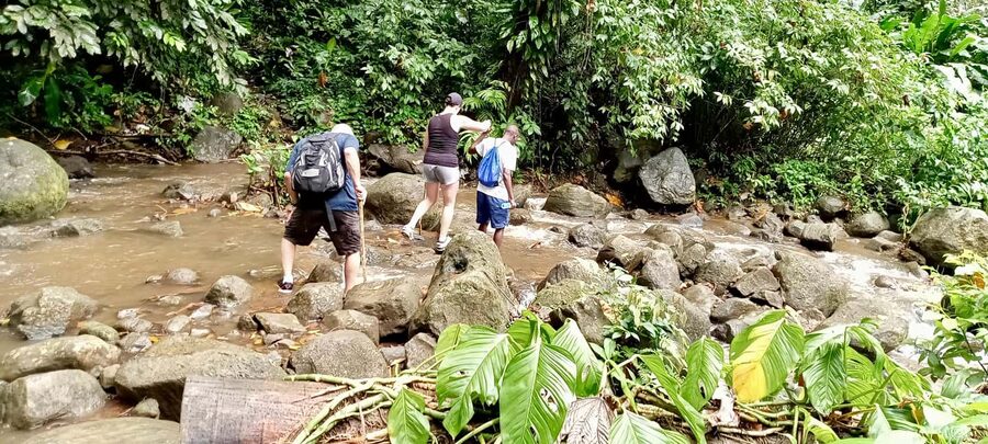 Hiking Adventure Through Grand E'tang RainForest - Who Will Enjoy This Grenada Hike?