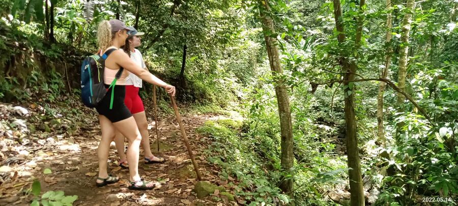Hiking Adventure Through Grand E'tang RainForest - St Margaret’s Trail and Grenada’s Spice Plants