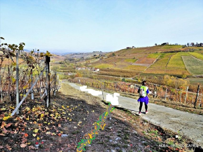 Hiking and wine tour starting from Alba - Key points at a glance