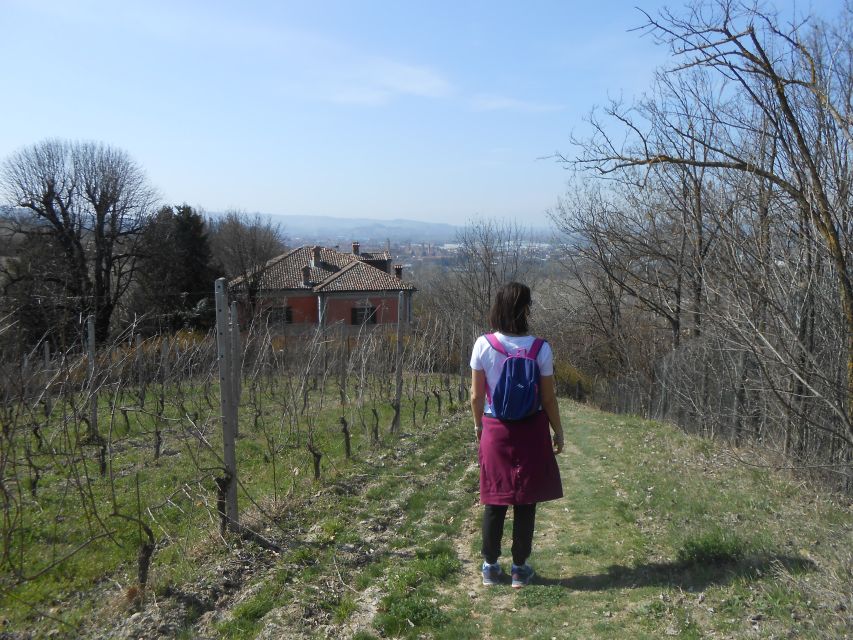 Hiking and wine tour starting from Alba - Starting in Alba’s historic center