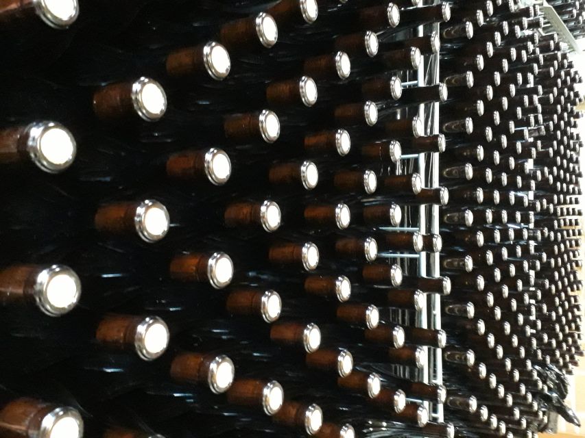 Hiking and wine tour starting from Alba - What the guides add to the experience