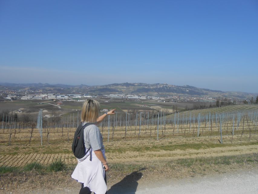 Hiking and wine tour starting from Alba - A closer look at the four-hour schedule