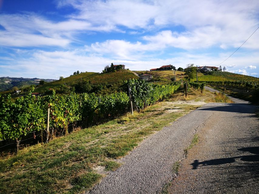 Hiking and wine tour starting from Alba - Practical advice before you go