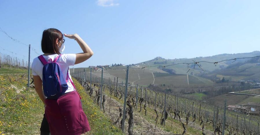 Hiking and wine tour starting from Alba - Walking the Langhe hills for 6 kilometers