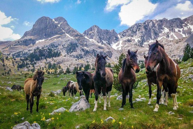 Hiking between Bosnia and Herzegovina - Key points before you book