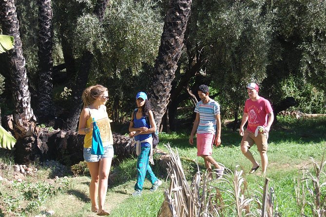 Hiking Beyond Paradise Valley - Starting at 9:00 in Tamraght