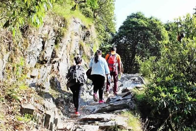 Hiking Day Tour to Triund from Dharamshala - Key points to know before you book