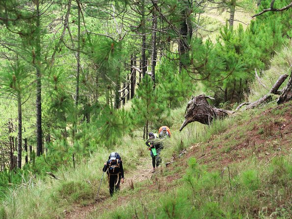 Hiking Day Tour to Triund from Dharamshala - Reaching Triund’s flat ridge
