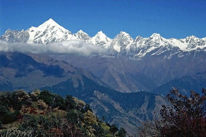 Hiking Day Tour to Triund from Dharamshala - Choosing the way down