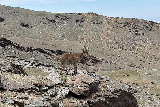 Hiking experience in the High Sierra Nevada National Park - Leaving Granada for the high Sierra Nevada