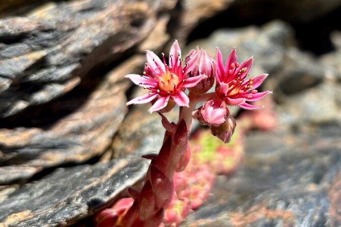 Hiking experience in the High Sierra Nevada National Park - Tajos del Campanario and the high views