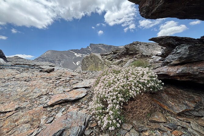 Hiking experience in the High Sierra Nevada National Park - Shoes, poles, clothing, and what to pack