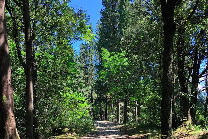 Hiking Florence Tuscany hills with lunch & wine - What the $300.06 price includes