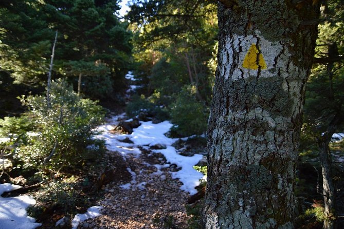 Hiking in Parnitha National Park Overlooking Athens - Wildlife, springs, and the chance to slow down