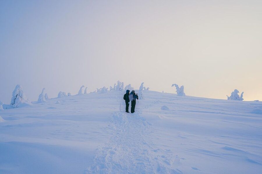 Hiking in Riisitunturi National Park with Photographer - Key points at a glance