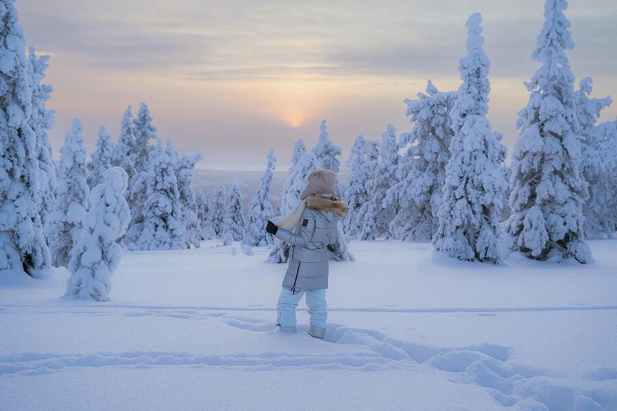 Hiking in Riisitunturi National Park with Photographer - Booking details that matter