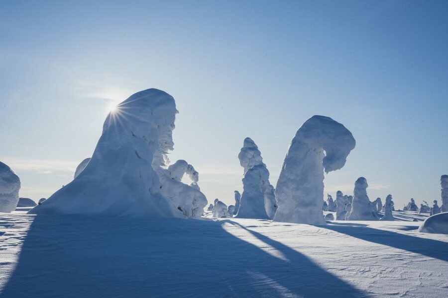 Hiking in Riisitunturi National Park with Photographer - Who should book this experience?