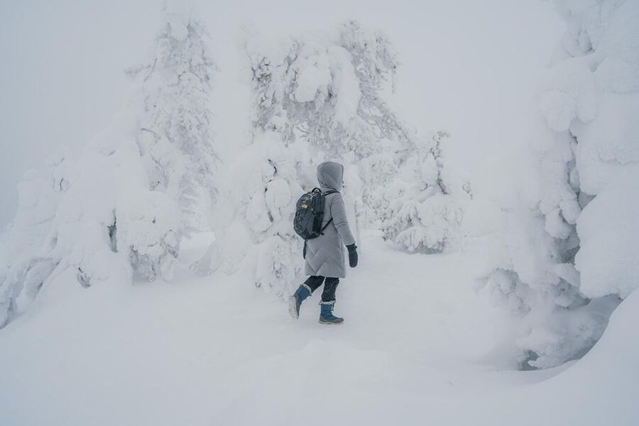 Hiking in Riisitunturi National Park with Photographer - The Rovaniemi pickup and the long van journey