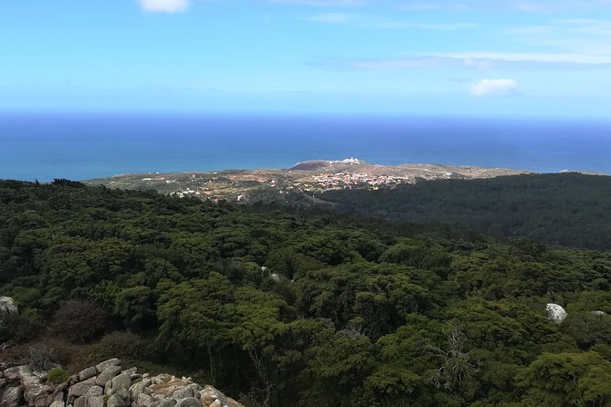 Hiking in Sintra-Cascais Natural Park - Views, wildlife, and local stories