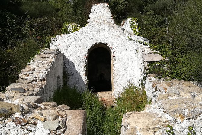 Hiking in Sintra-Cascais Natural Park - Should you book the Sintra-Cascais hike?