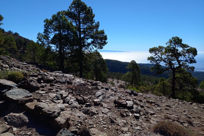 Hiking in Tenerife's Great Outdoors - Teide National Park, seen on foot