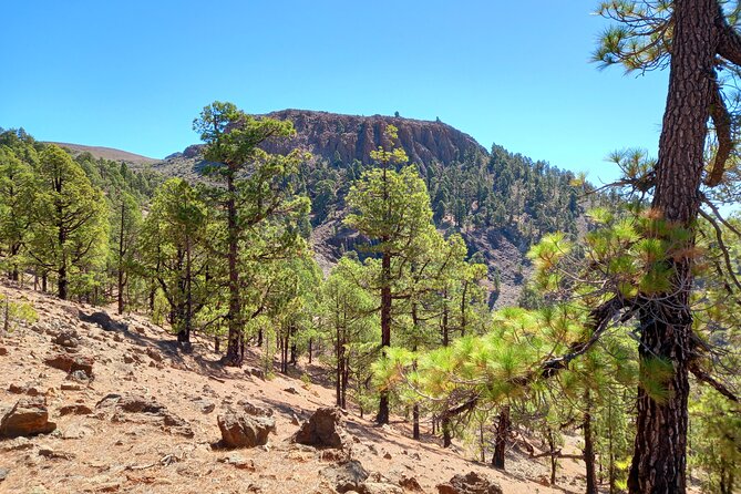 Hiking in Tenerife's Great Outdoors - The physical challenge and what to bring