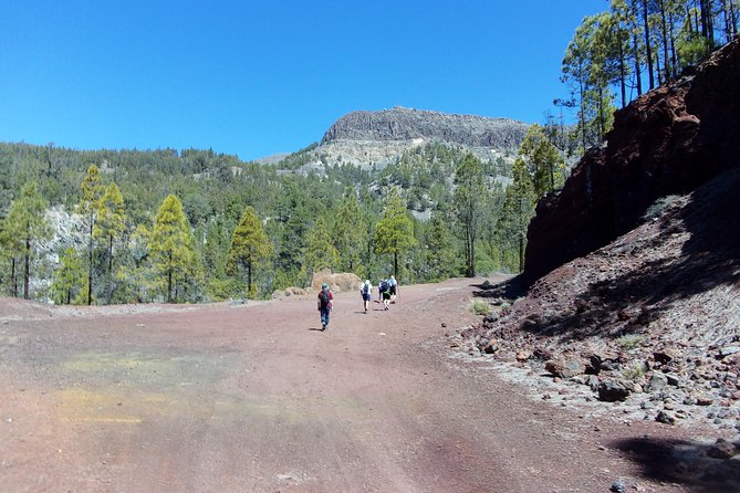 Hiking in Tenerife's Great Outdoors - Why the small group improves the day