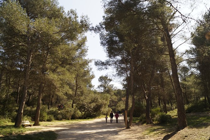 Hiking in the Calanques National park from Marseille - Morgiou, Grande Candelle, and the return climb