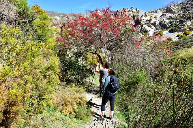 Hiking in the Canyon of the Monachil Cubs in Granada - Following the Monachil River through Los Cahorros