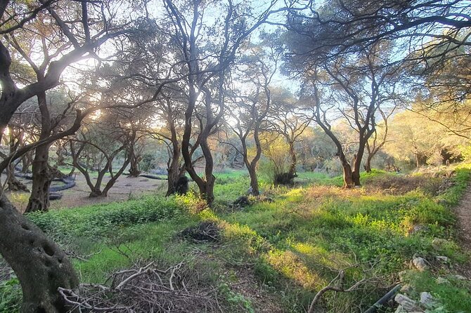 Hiking in the Olive Groves,Villages,Sunset,with Swim Stop - A sunset walk through Corfu’s western coves