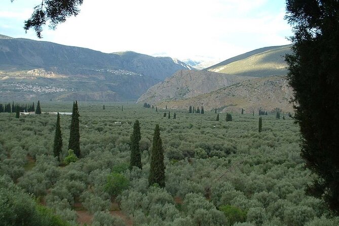 Hiking in the Olive Groves,Villages,Sunset,with Swim Stop - Abandoned villas and the route toward Limni