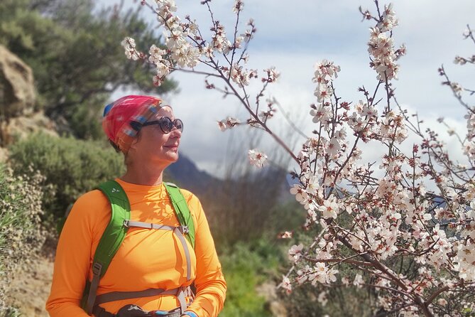 Hiking in the Sacred Mountains of Gran Canaria: UNESCO - Why La Caldera de Tejeda gives this hike its purpose
