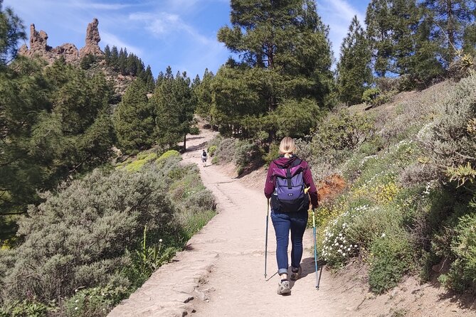Hiking in the Sacred Mountains of Gran Canaria: UNESCO - What the small group changes for you