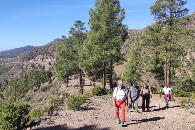 Hiking in the Sacred Mountains of Gran Canaria: UNESCO - Timing, pickup, and the Wednesday schedule