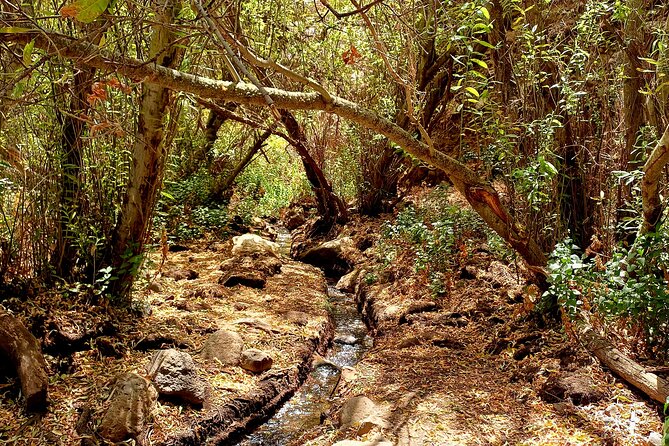 Hiking in Waterfalls & Rainforest with local guides: Sky Rebels - What is included, and what you still need to pack