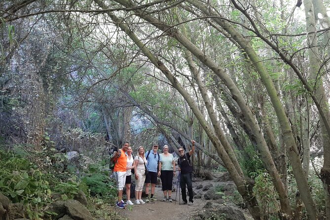 Hiking in Waterfalls & Rainforest with local guides: Sky Rebels - Is $98.52 good value?