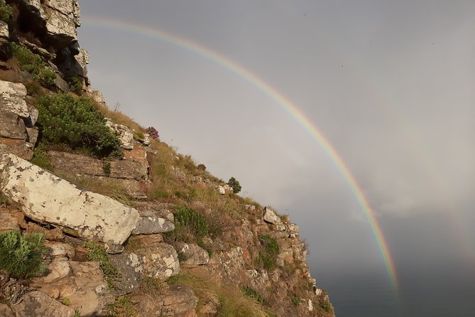 Hiking Lion's Head for sunrise, coffee & hotel Pick-up & Drop off - Sunrise over Table Mountain and Camps Bay